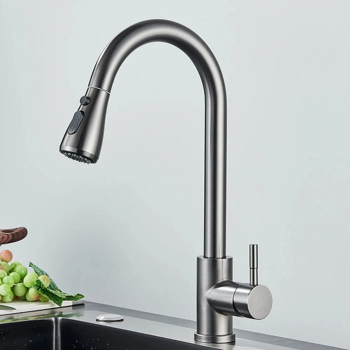Robinet Cuisine avec Douchette Extensible Argenté Argent brossé