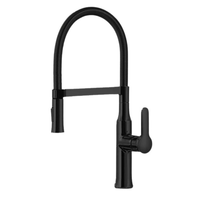 Robinet cuisine douchette design Noir