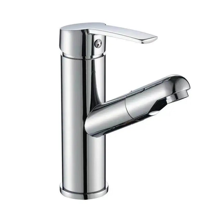 Robinet de salle de bain avec 2 modes de pulvérisation Argent