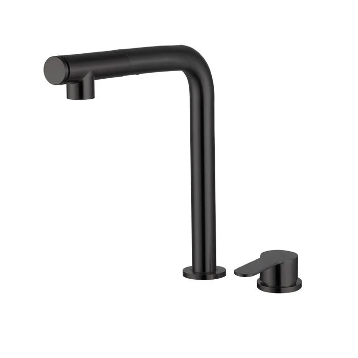 Robinet evier inox Noir