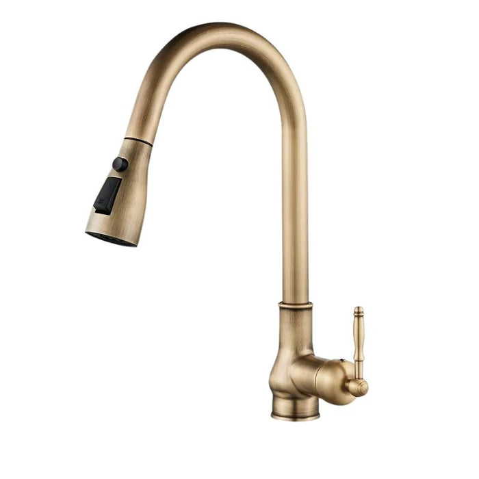 Robinet vintage avec douchette Antique