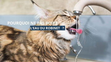 Pourquoi il ne faut pas boire l'eau du robinet ?