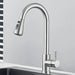 Robinet Cuisine avec Douchette Extensible Argenté Argent