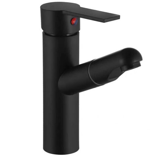 Robinet de salle de bain avec 2 modes de pulvérisation Noir