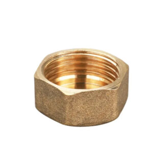 Bouchon robinet exterieur Femelle / 1"