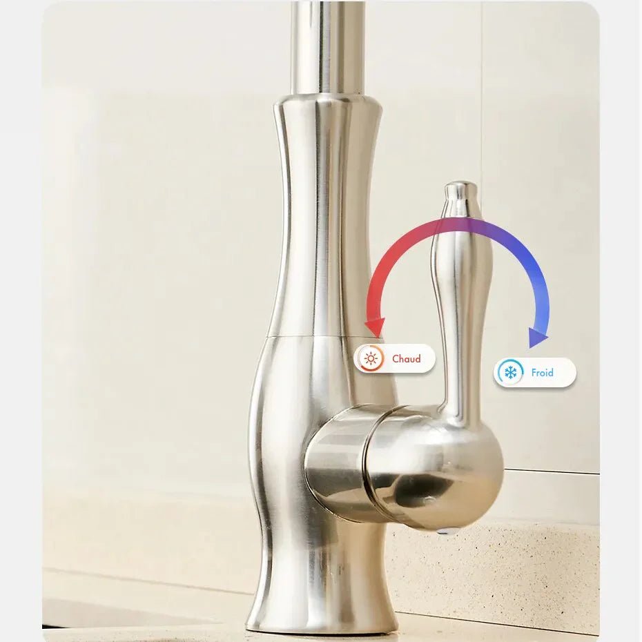 Robinet cuisine douchette laiton