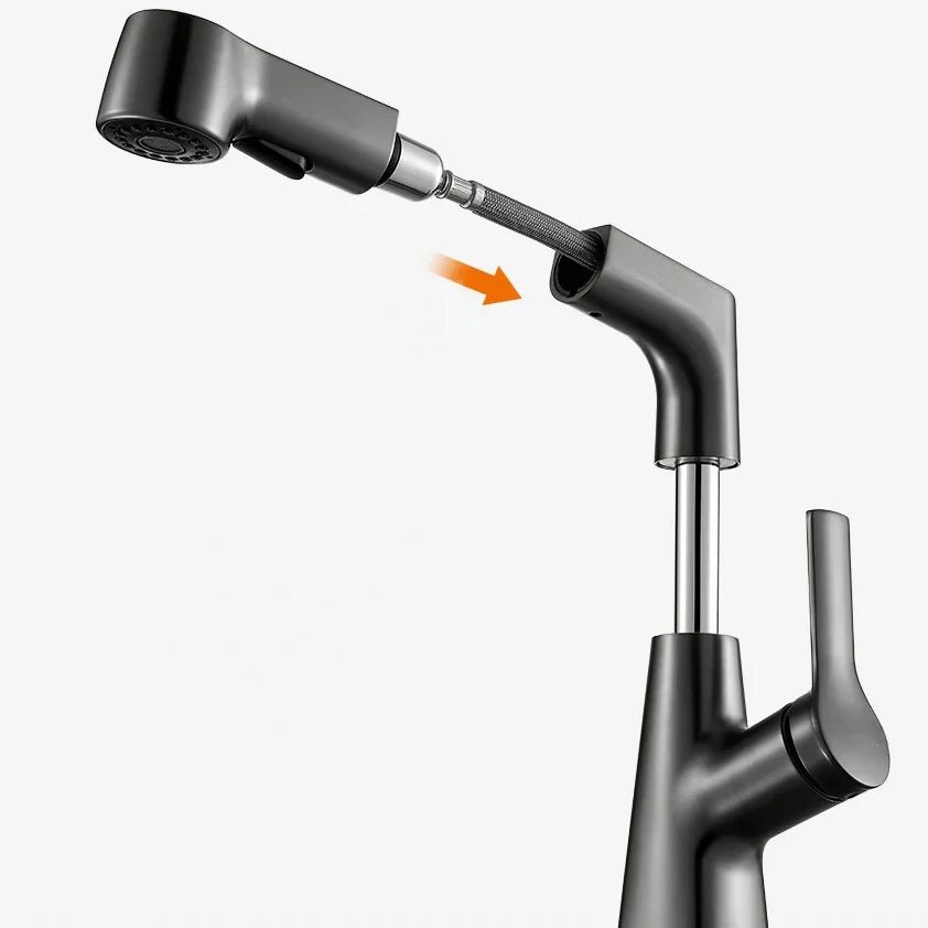 Robinet de cuisine avec douchette