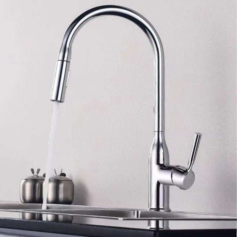 Robinet douchette evier Argent