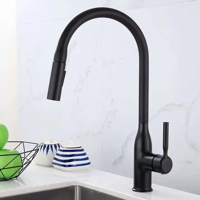 Robinet douchette evier Noir