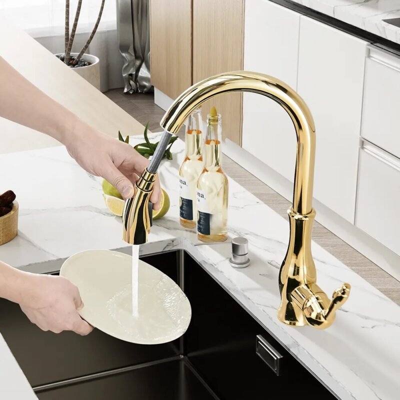 Robinet douchette pour évier cuisine
