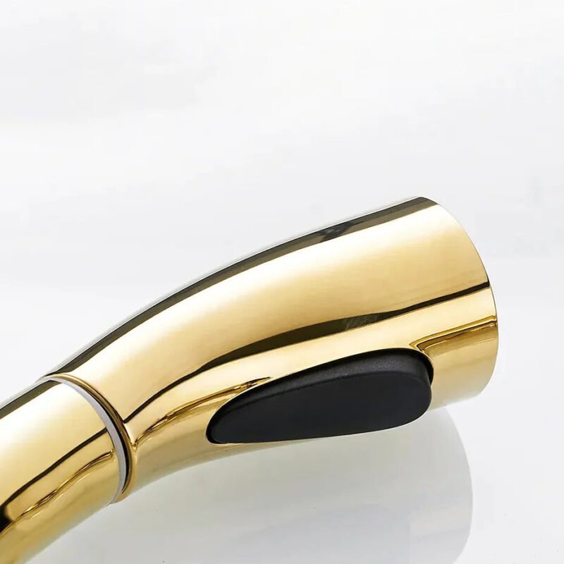 Robinet douchette pour évier cuisine