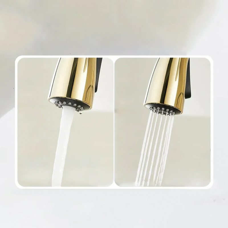 Robinet douchette pour évier cuisine