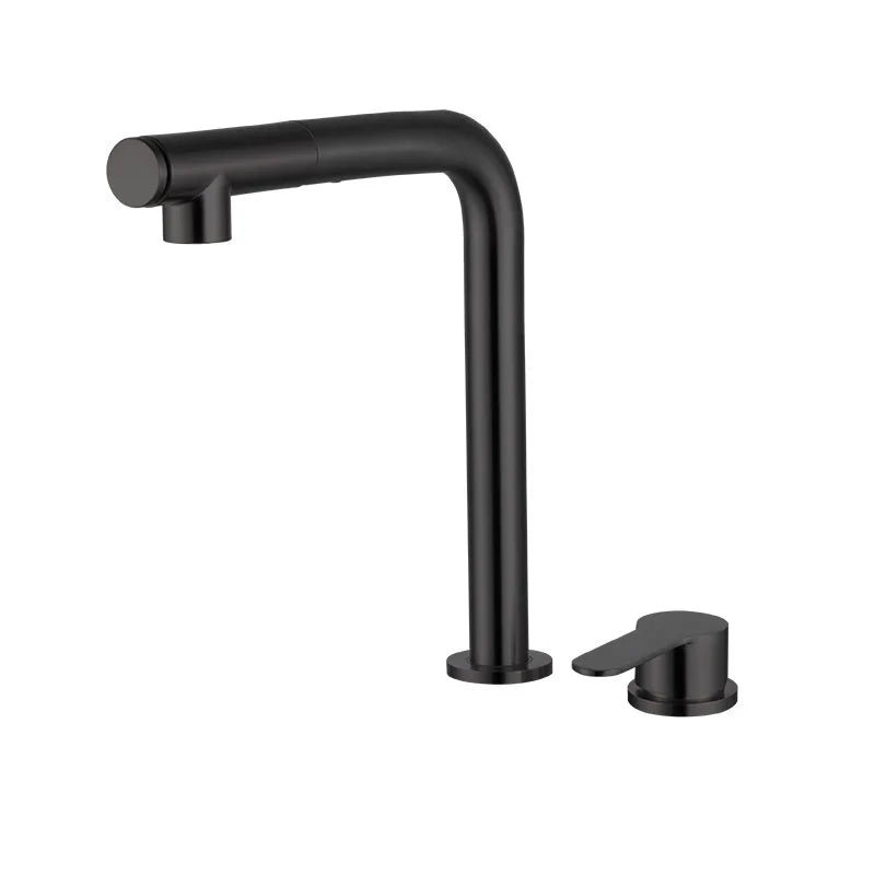 Robinet evier inox Noir