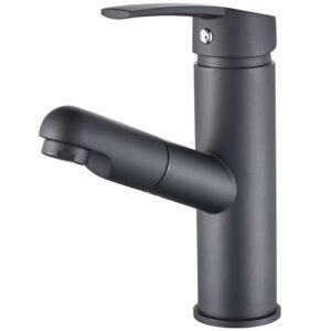 Robinet salle de bain douchette