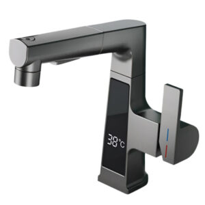 Robinet salle de bain mitigeur thermostatique - ONYXIA Argenté anthracite